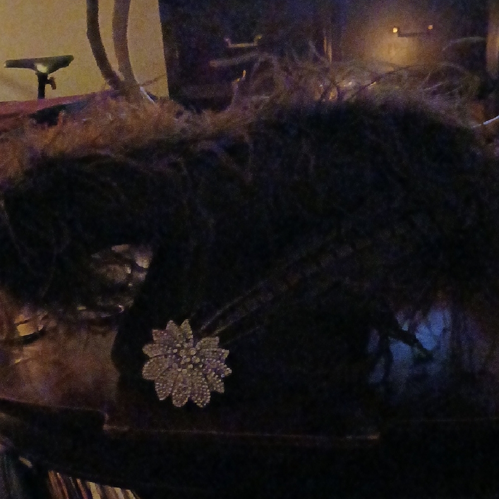 Chic Black Feathered Women's Hat